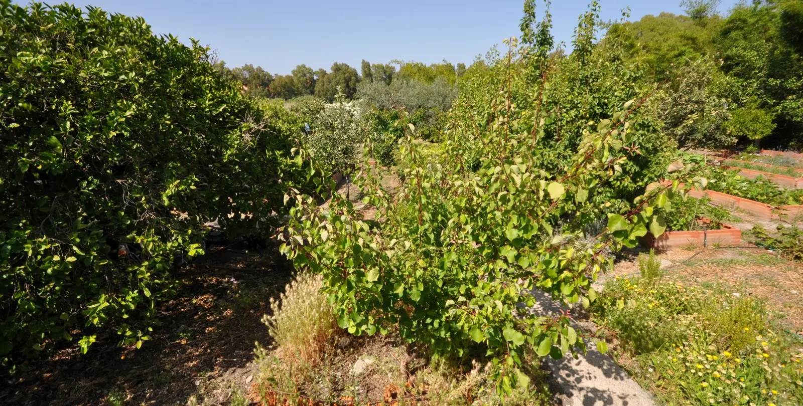 Sale of detached villa in Casares Playa 27