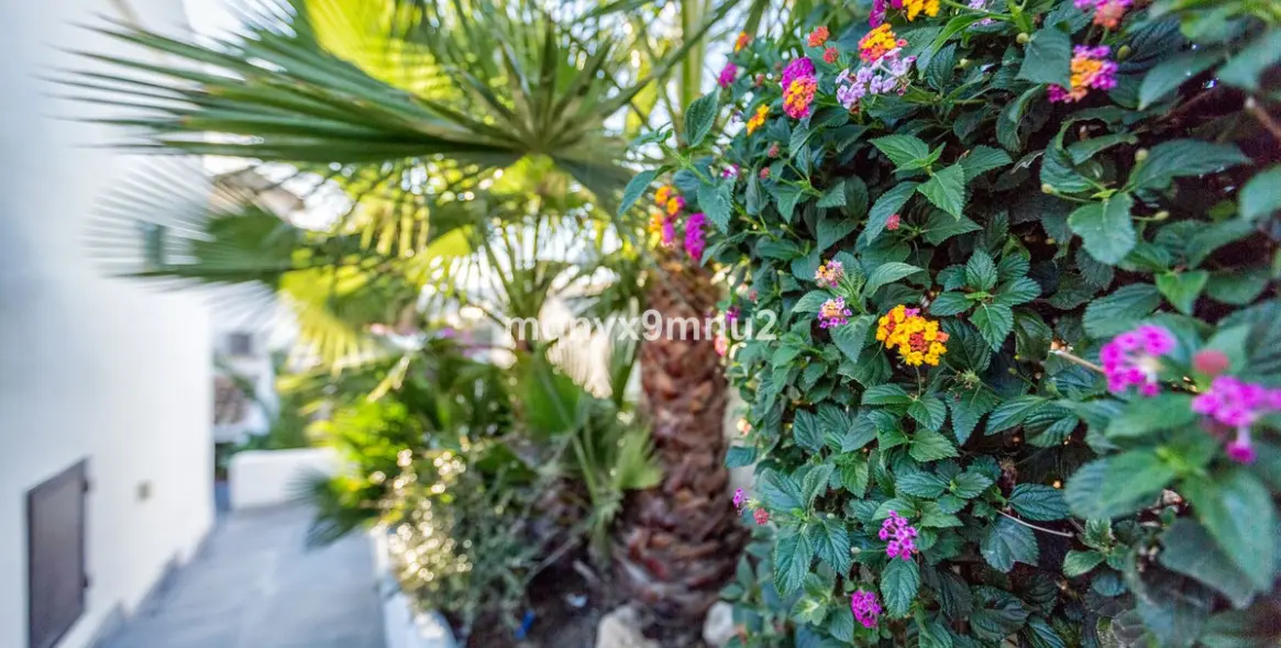 Venta de villa independiente en El Chaparral 7