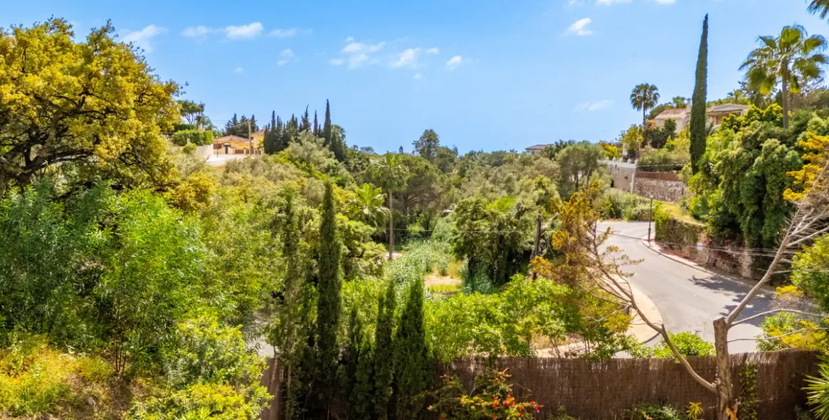 Sale of detached villa in El Rosario 43