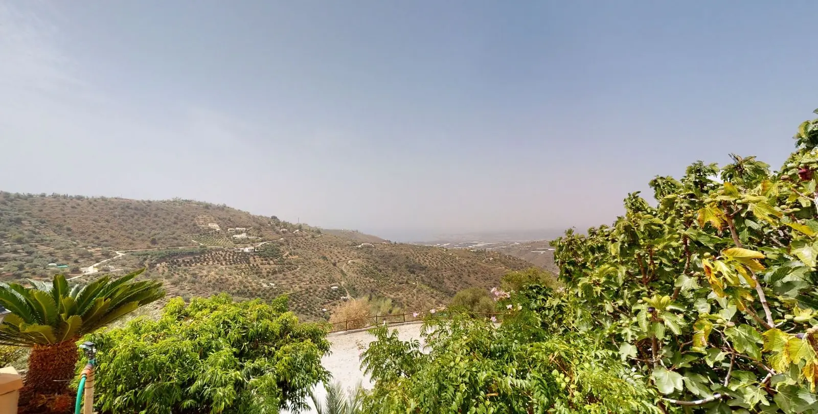 Venta de villa independiente en Sayalonga 39
