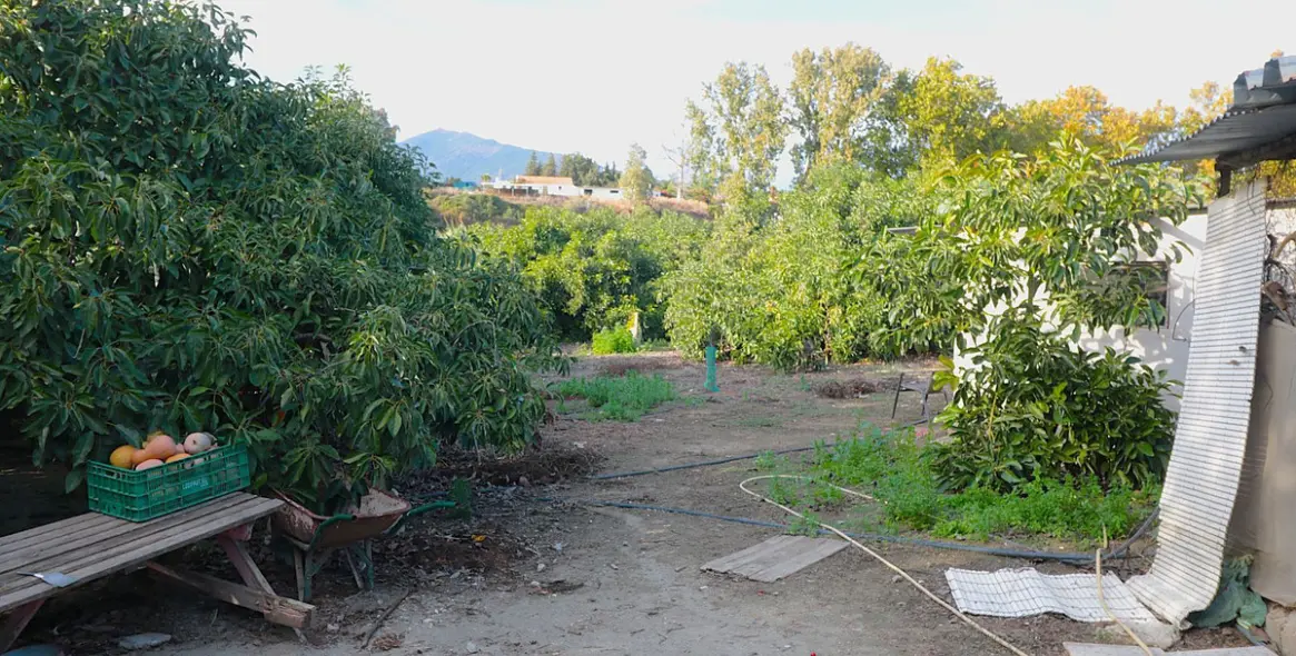 Продажа  жилого участка в San Pedro de Alcántara 9