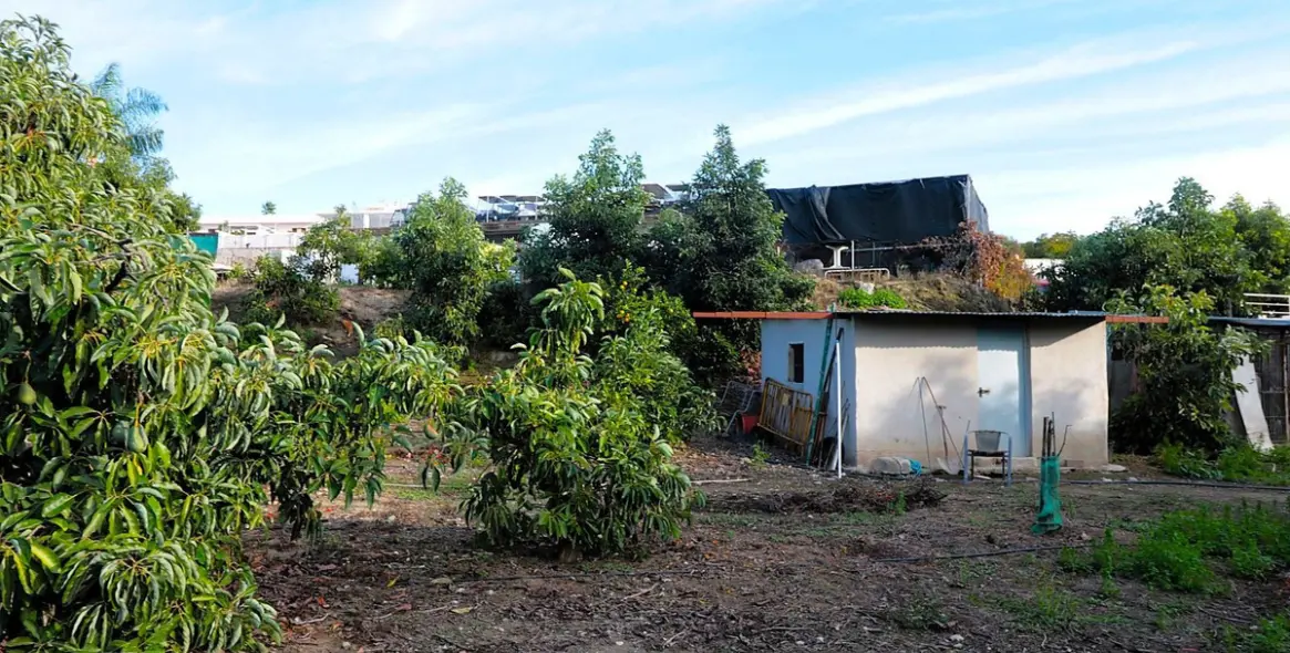 Продажа  жилого участка в San Pedro de Alcántara 10