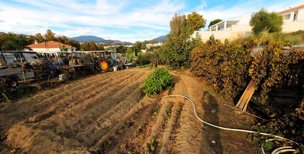 Продажа  жилого участка в San Pedro de Alcántara 12