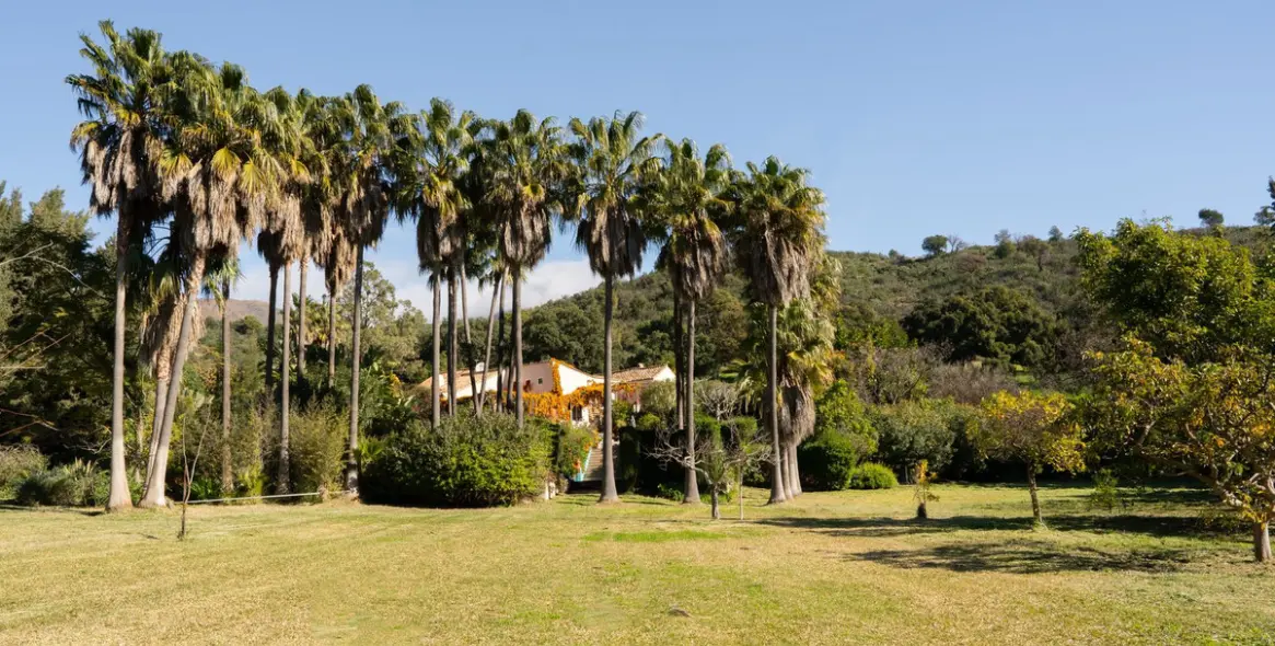 Venta de finca - cortijo en Casares 2