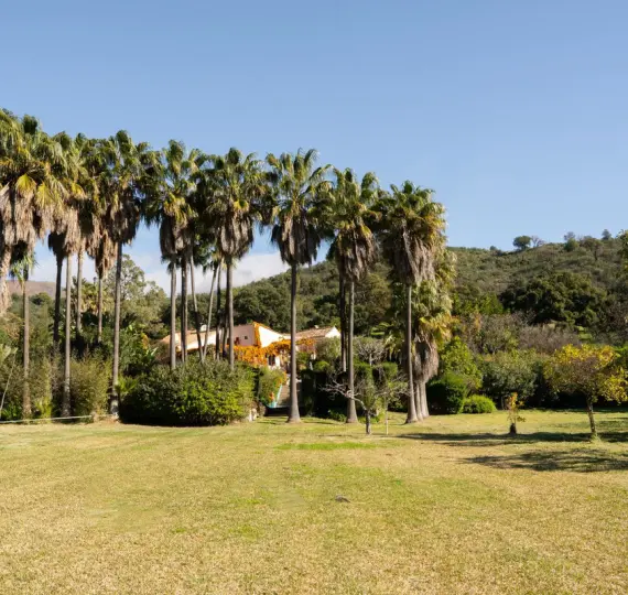 Venta de finca - cortijo en Casares