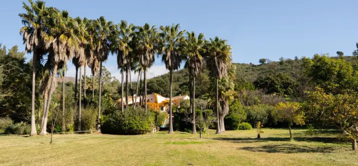 Venta de finca - cortijo en Casares 1