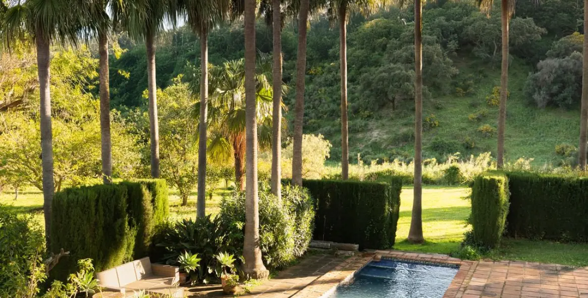 Venta de finca - cortijo en Casares 3