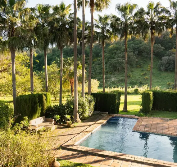 Venta de finca - cortijo en Casares