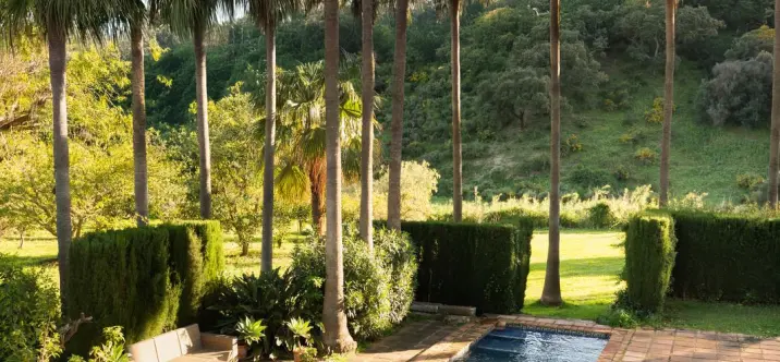 Venta de finca - cortijo en Casares 2