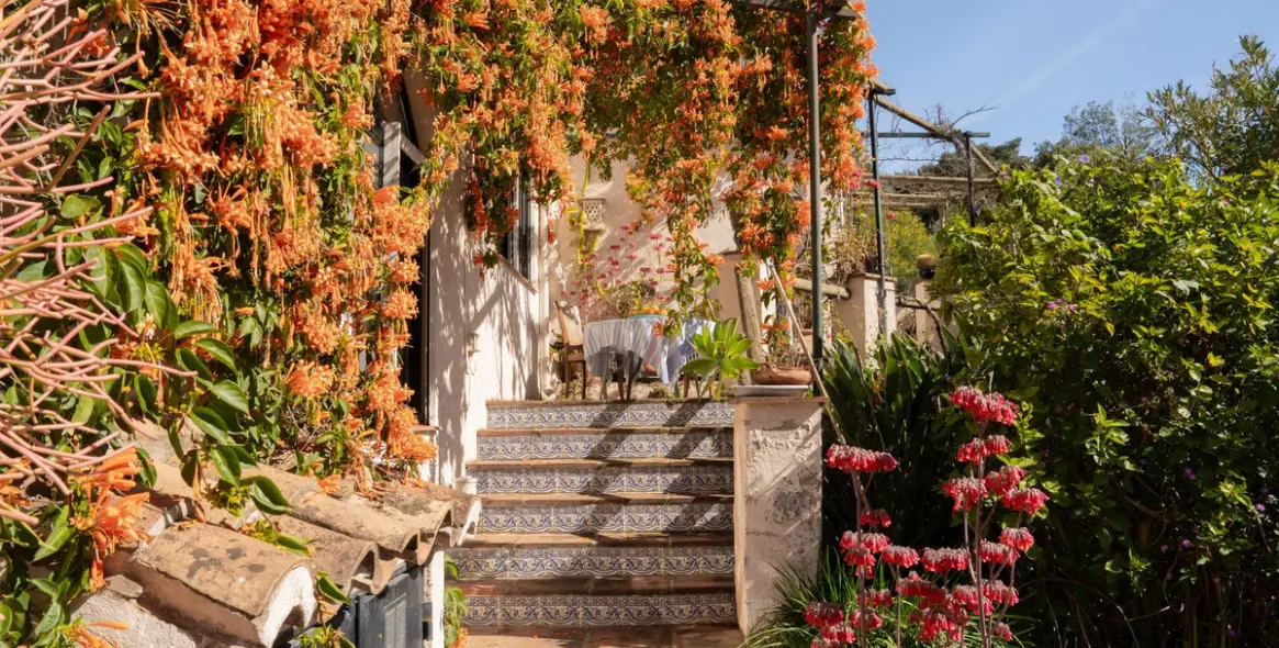 Venta de finca - cortijo en Casares 9