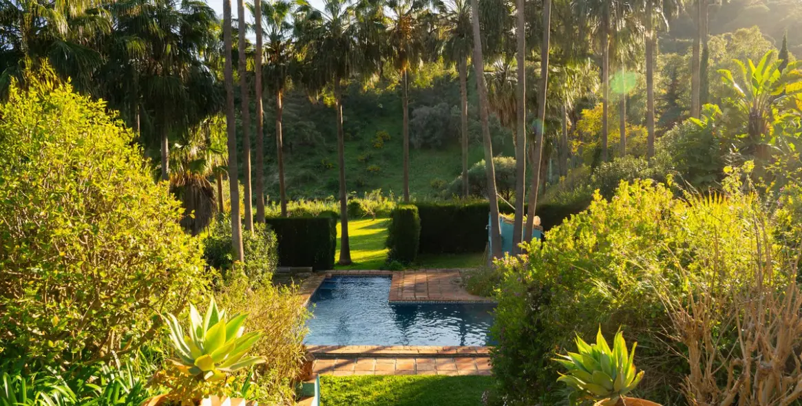 Venta de finca - cortijo en Casares 16