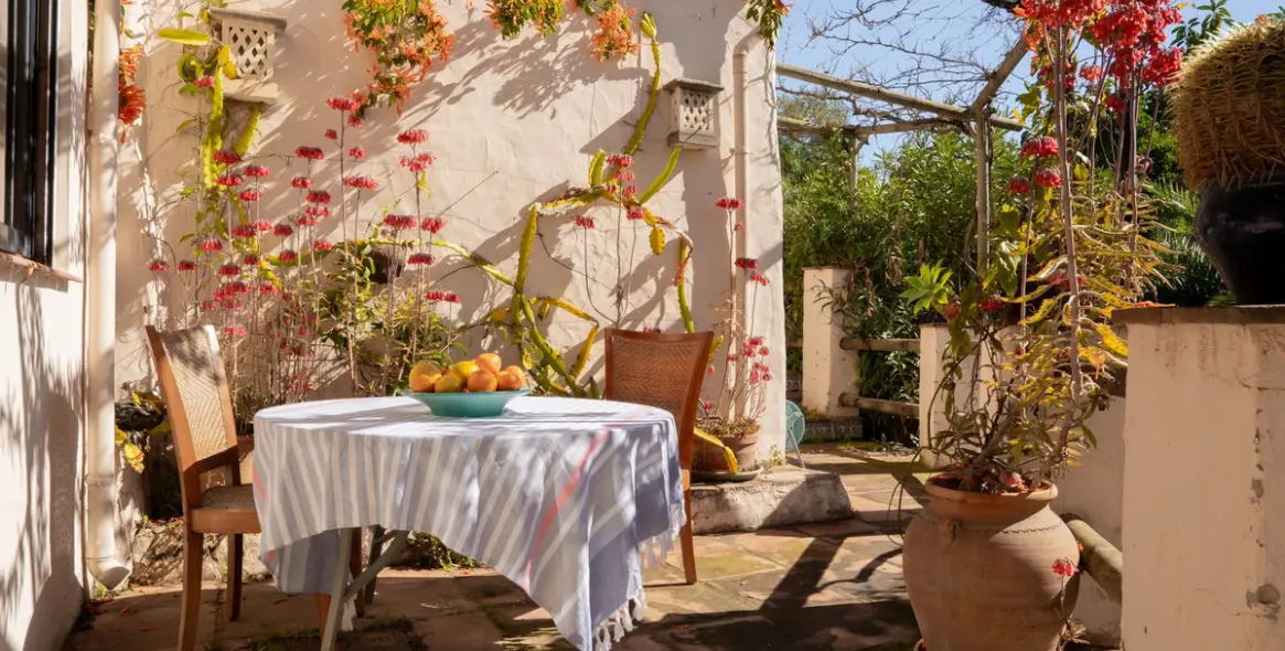 Venta de finca - cortijo en Casares 20