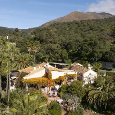 Sale of finca - cortijo in Estepona