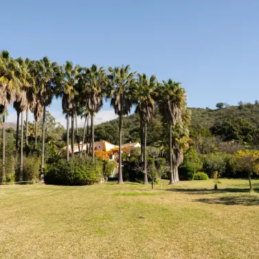 Sale of finca - cortijo in Estepona