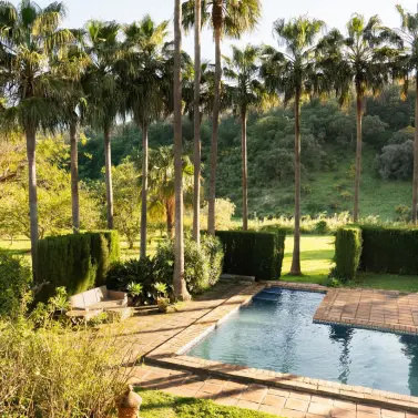 Sale of finca - cortijo in Estepona