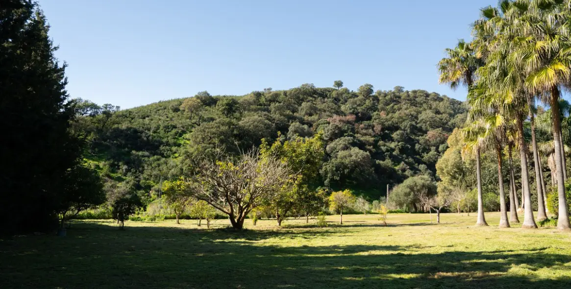 Venta de finca - cortijo en Estepona 21