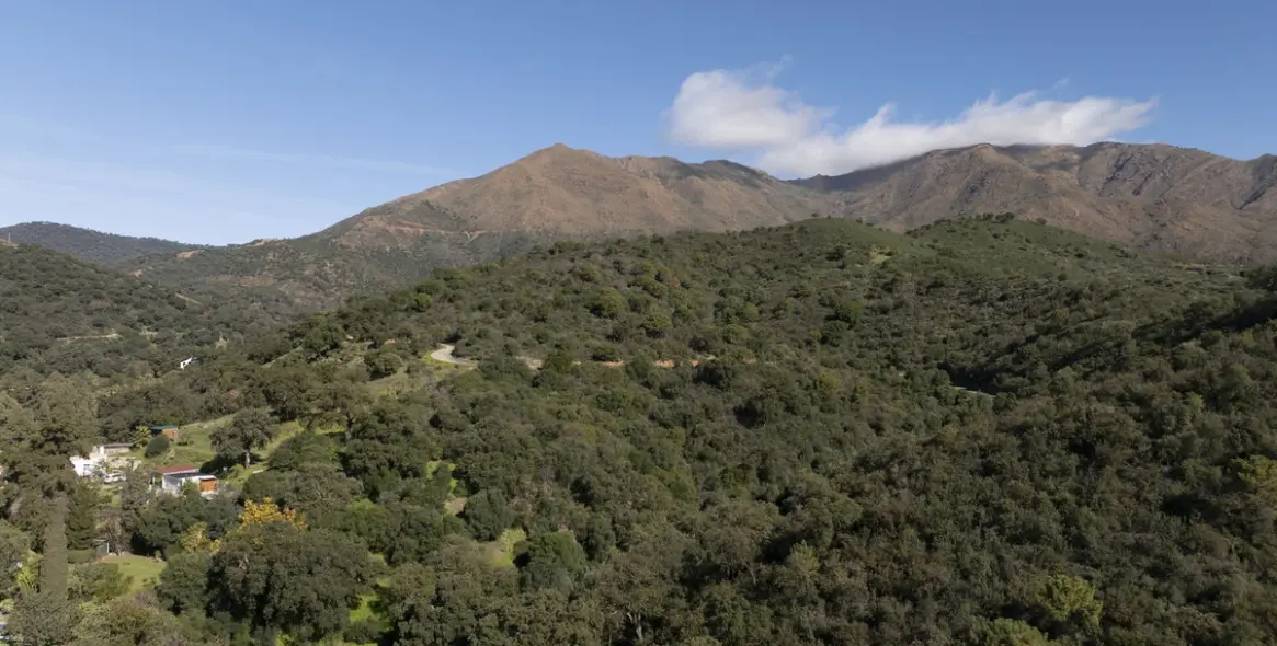 Venta de finca - cortijo en Estepona 33