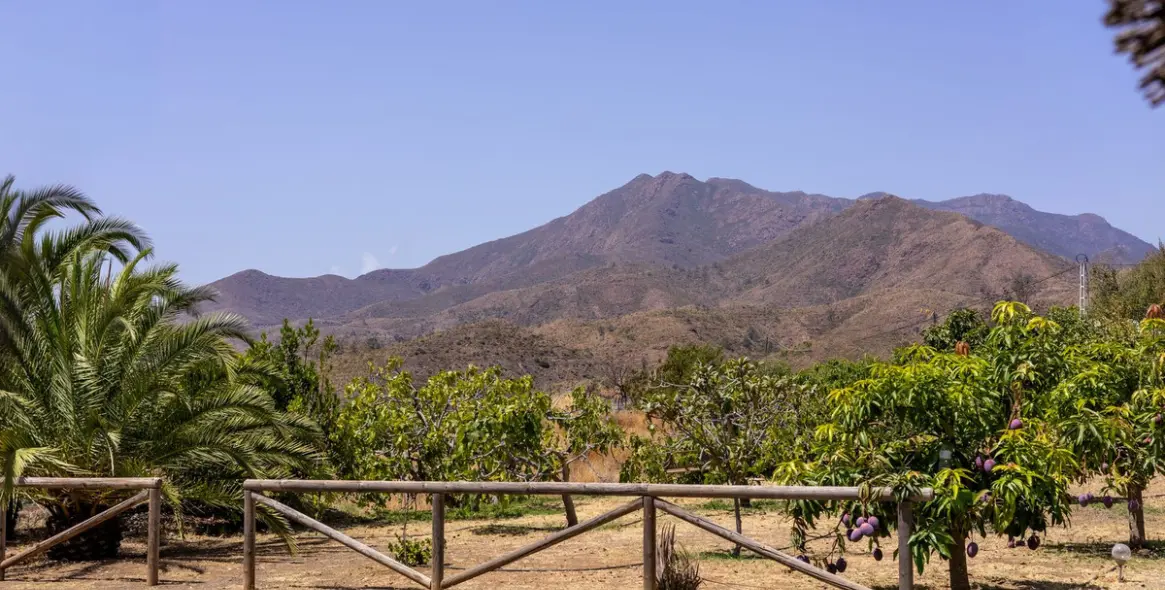 Продажа  отдельно стоящей виллы в Alhaurín el Grande 32