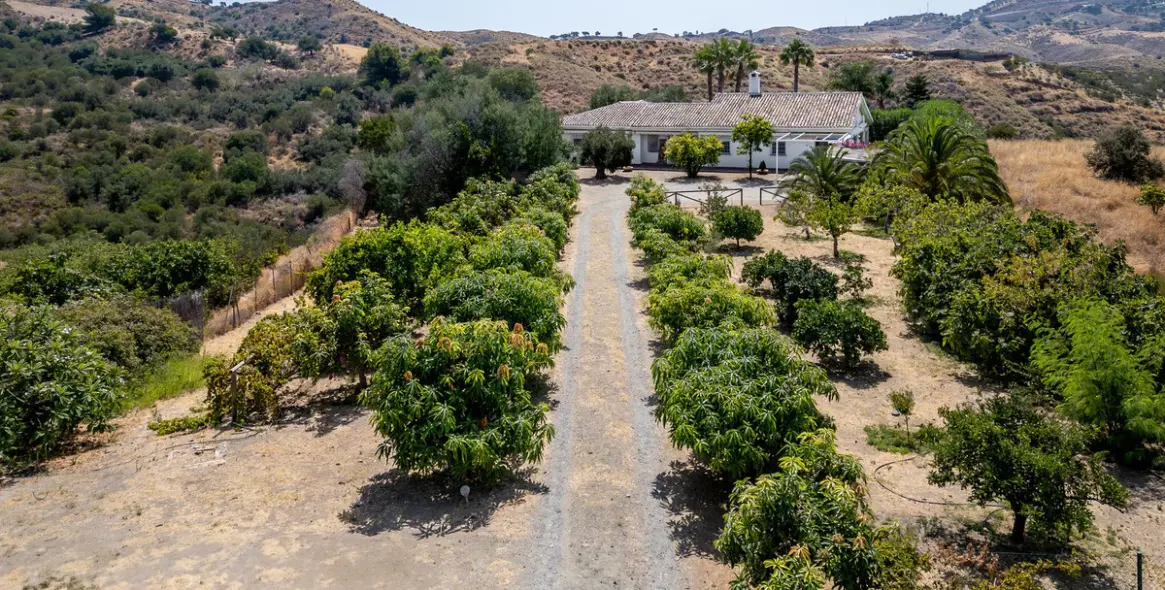 Продажа  отдельно стоящей виллы в Alhaurín el Grande 35