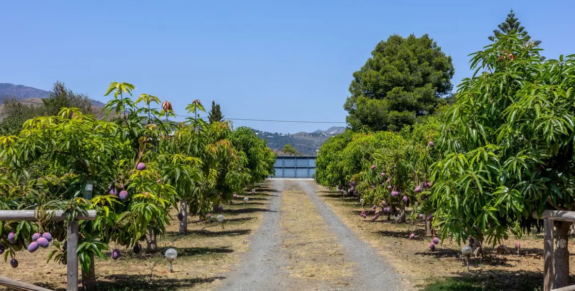 Продажа  отдельно стоящей виллы в Alhaurín el Grande 36