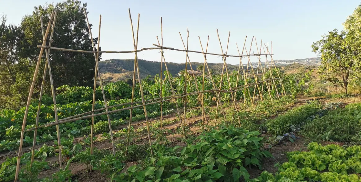 Продажа  отдельно стоящей виллы в Alhaurín el Grande 46