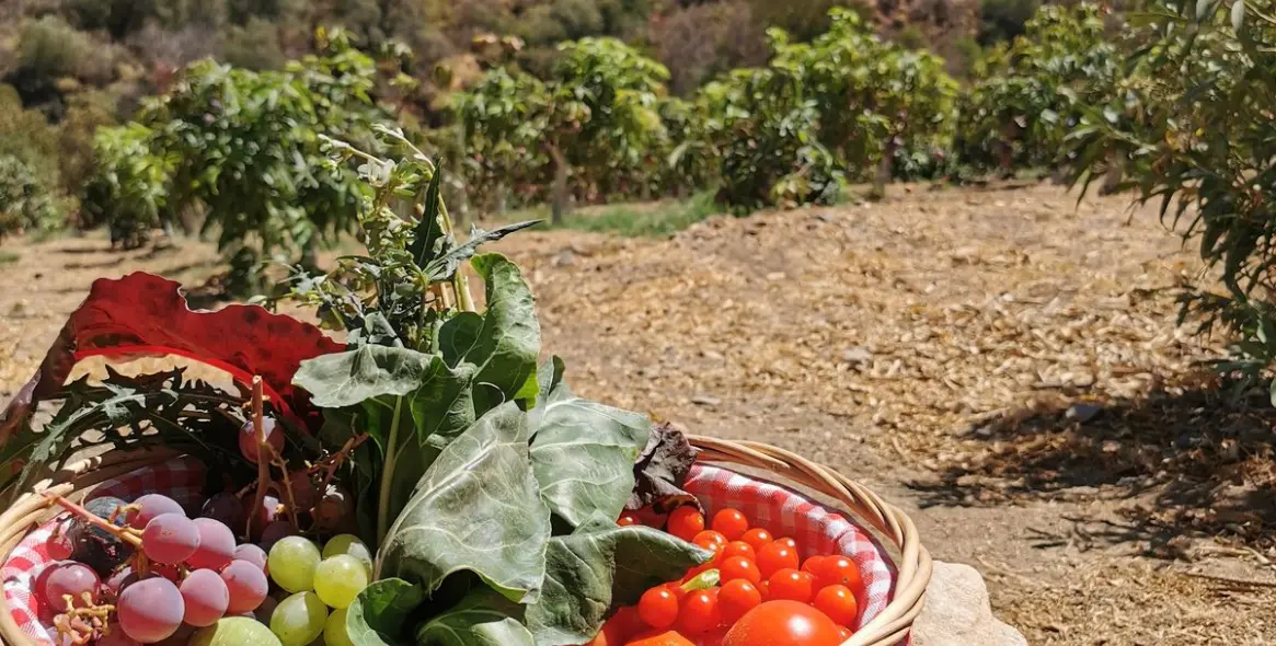 Продажа  отдельно стоящей виллы в Alhaurín el Grande 47