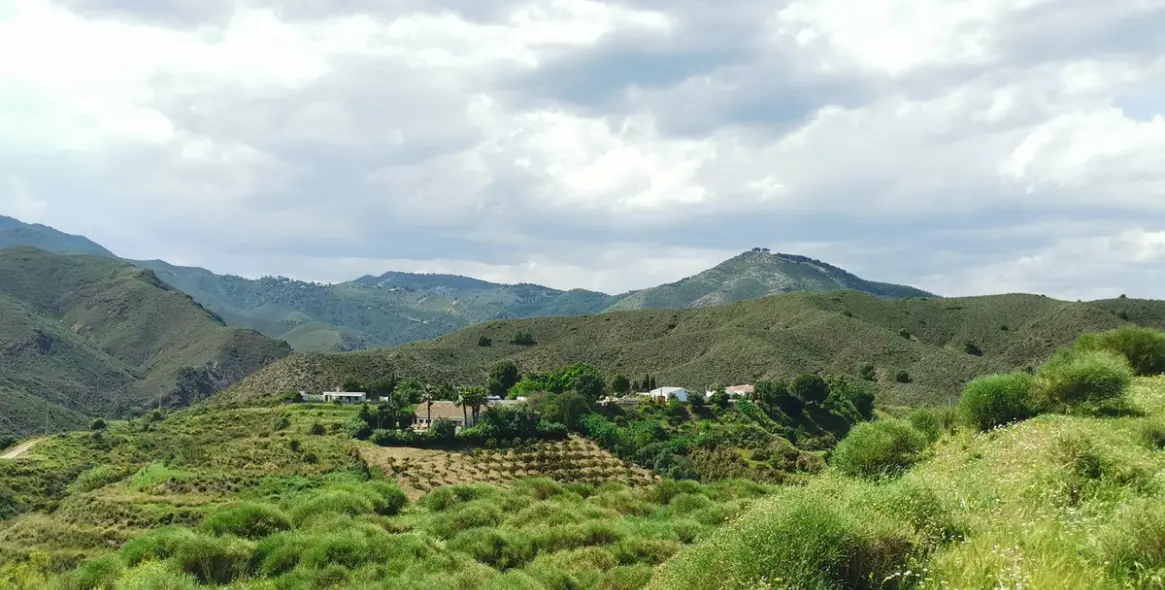 Продажа  отдельно стоящей виллы в Alhaurín el Grande 48