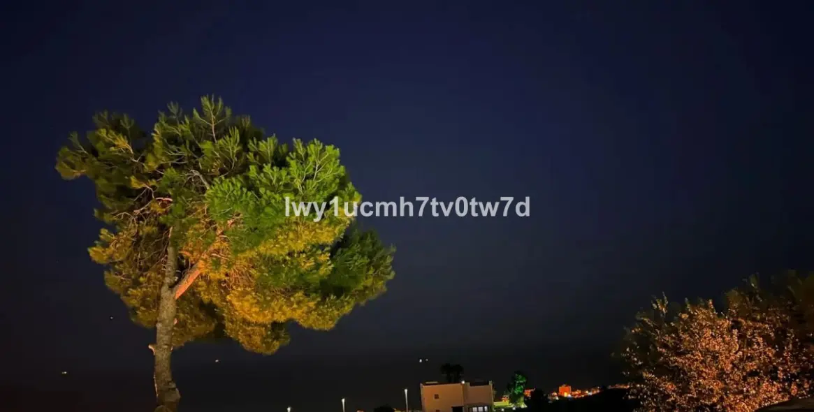 Sale of detached villa in Benalmadena 4