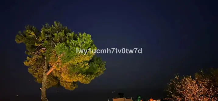 Sale of detached villa in Benalmadena 3