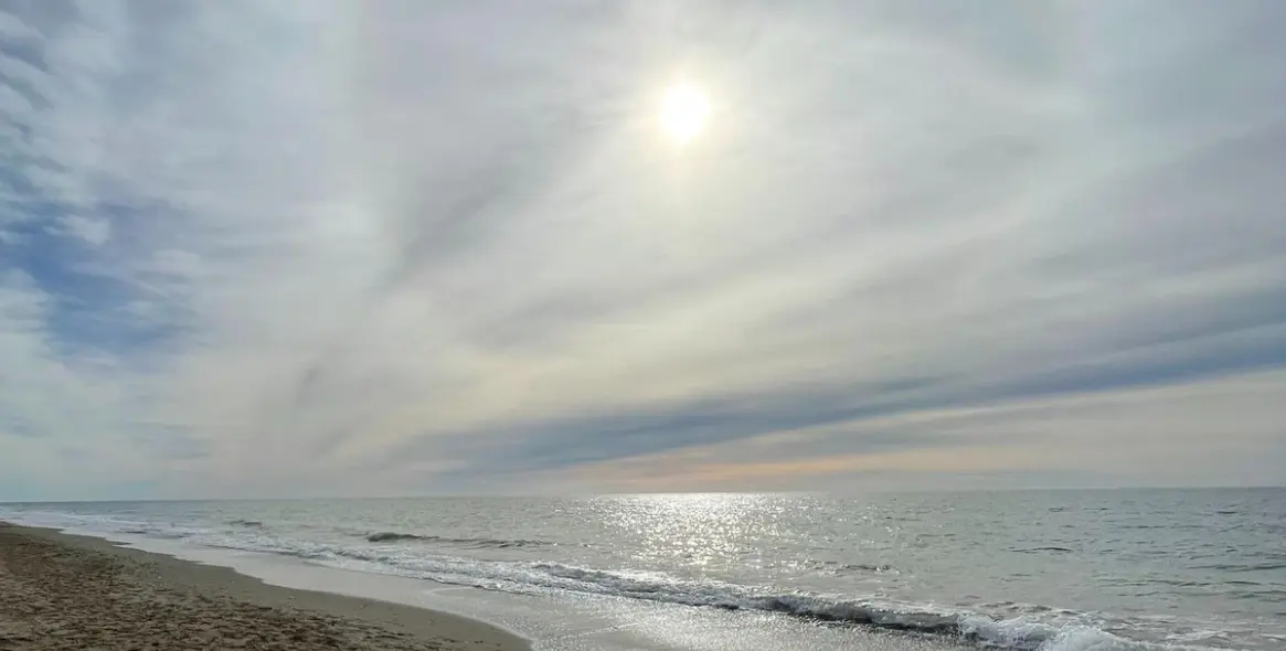 Sale of apartment complex in El Rosario 12