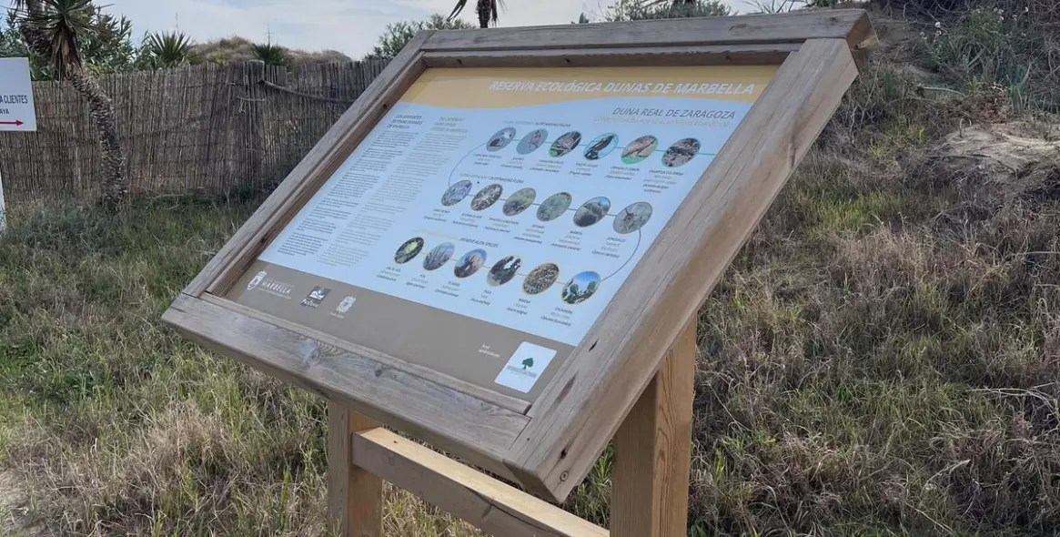 Sale of apartment complex in El Rosario 13