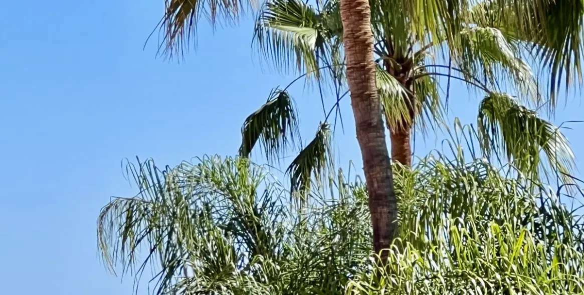 Sale of townhouse in Marbella (district The Golden Mile) 10