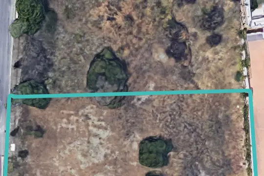 Image 4 thumb