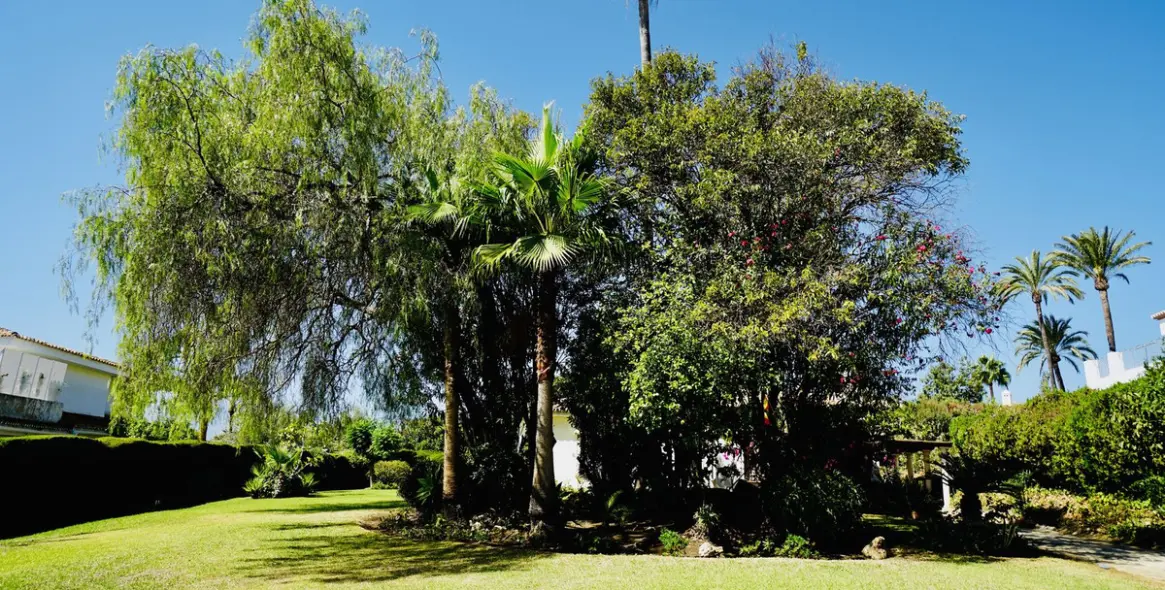 Продажа  отдельно стоящей виллы в Estepona (район El Paraiso) 4