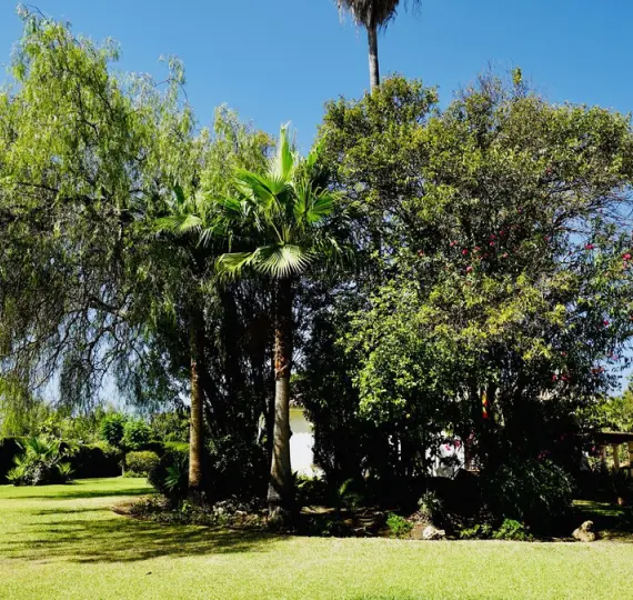 Oтдельно стоящая вилла R5083873