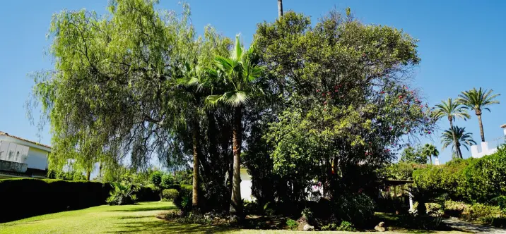 Oтдельно стоящая вилла R5083873 3