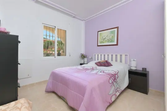 Image 8 thumb