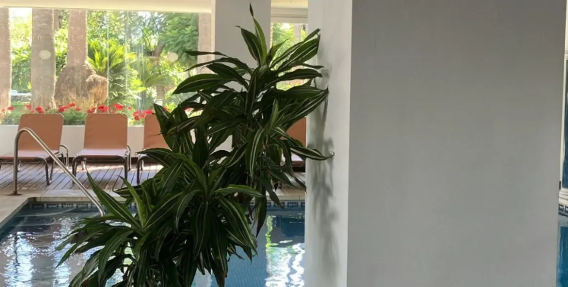 Продажа апартаментов на первом этаже в Puerto Banús 12