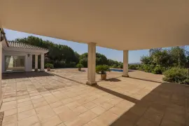 Image 6 thumb