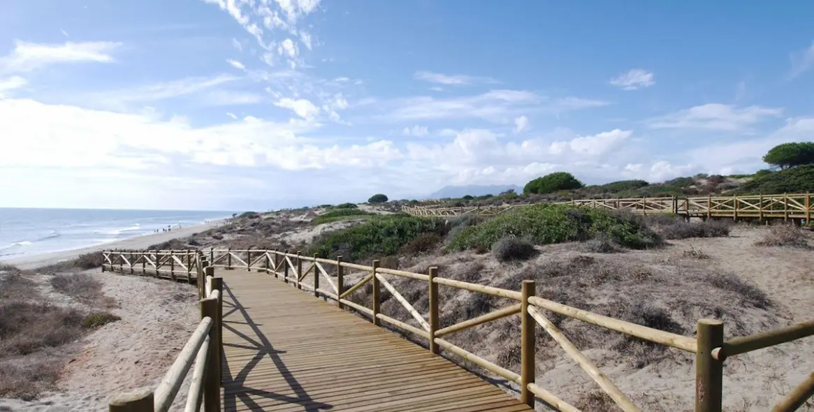Sale of detached villa in Cabopino 41