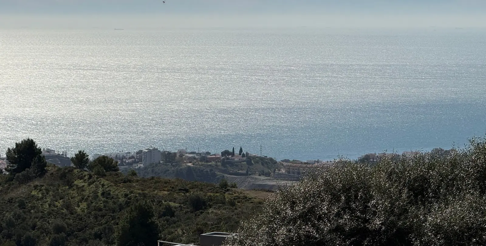 Sale of detached villa in Mijas 1