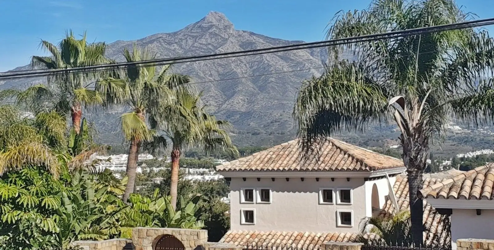 Sale of detached villa in Nueva Andalucía 3