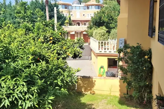 Image 4 thumb