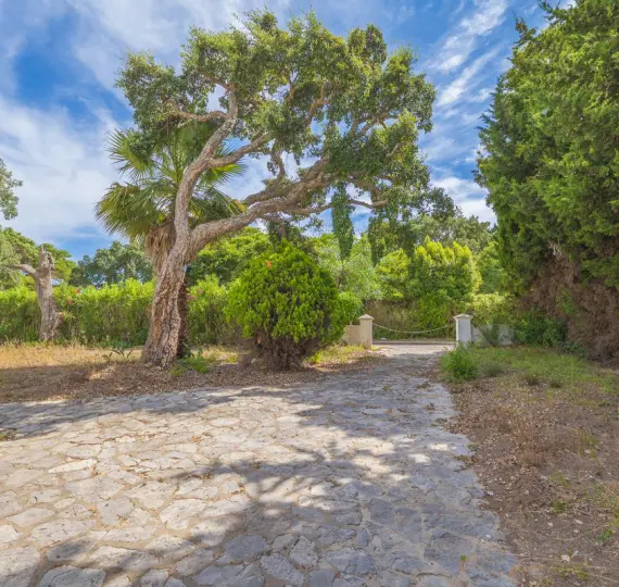 Продажа  отдельно стоящей виллы в San Roque Club