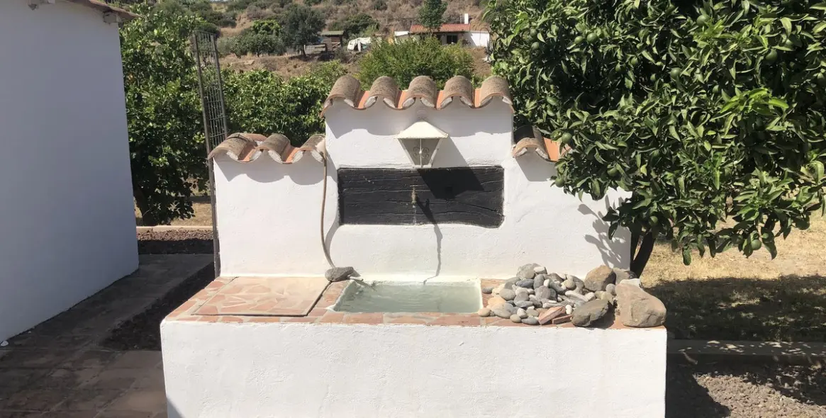 Sale of finca - cortijo in Estepona 47