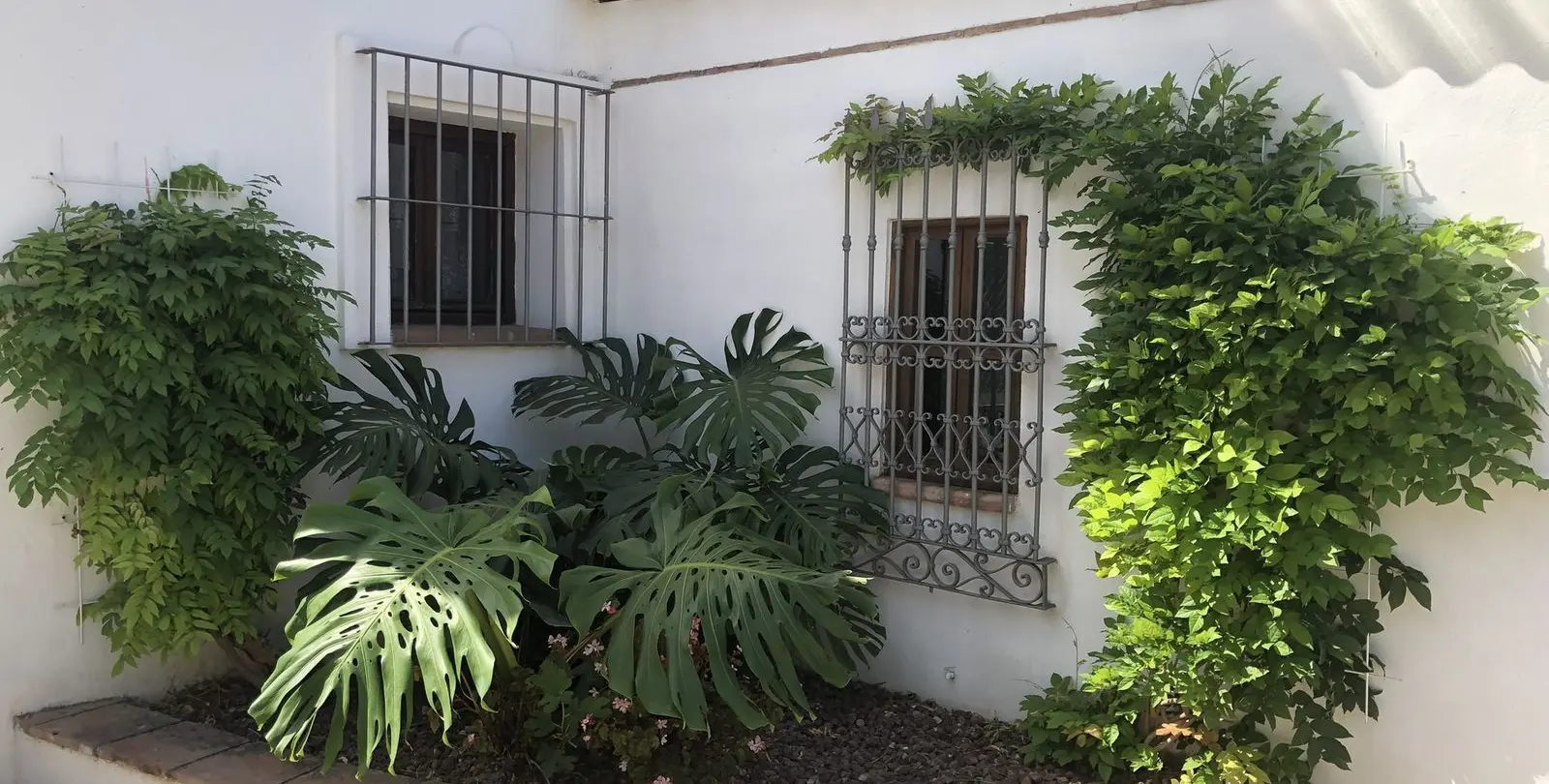 Sale of finca - cortijo in Estepona 49
