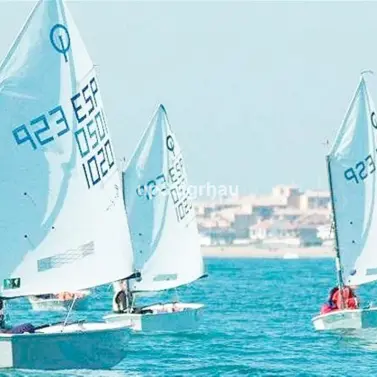 Продажа  отдельно стоящей виллы в Estepona