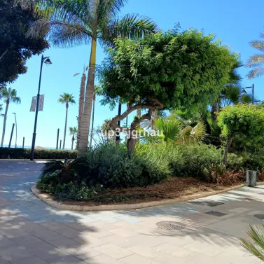 Продажа  отдельно стоящей виллы в Estepona