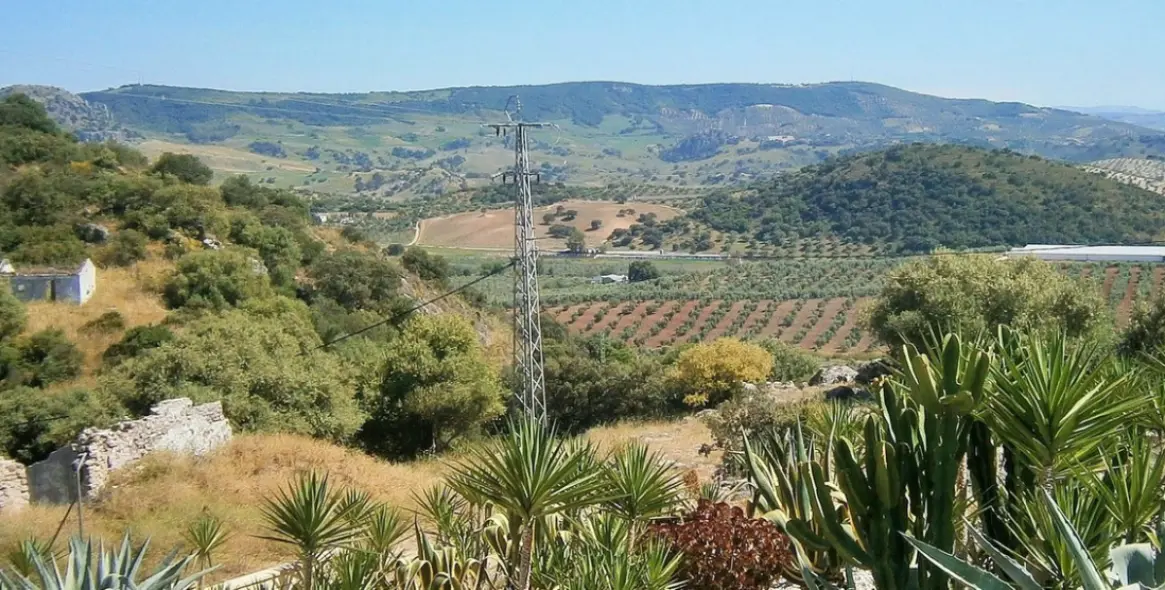 Sale of finca - cortijo in Ronda 52