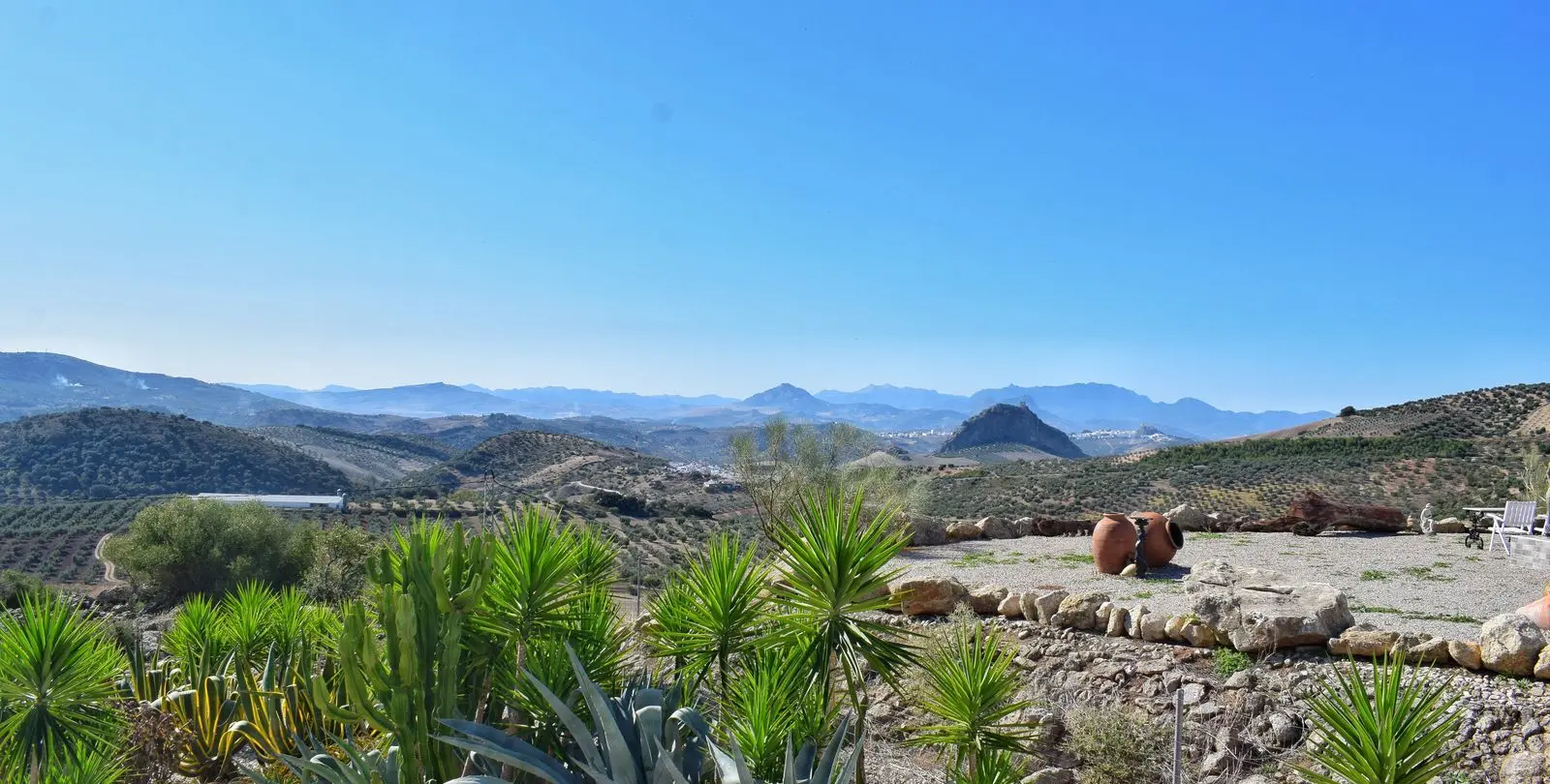 Venta de finca - cortijo en Ronda 49